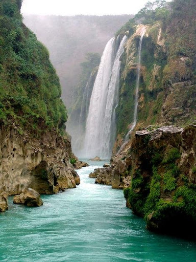 Rosario Robles Photo 23
