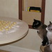 Clem Cook Photo 11