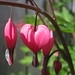 Christine Bush Photo 10