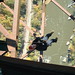 Bob Rappel Photo 5