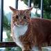 Ginger Kirby Photo 23