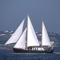 Roy Howell Photo 43