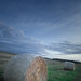 Robert Hay Photo 9