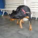 Paula Tirado Photo 16