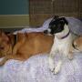 Julie Stratton Photo 35