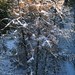 John Olmsted Photo 19