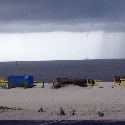Charles Fagen Photo 6