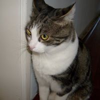 Milo Martin Photo 26