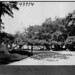 Elmer Martin Photo 20