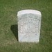 James Grover Photo 35