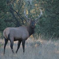 Jerry Clayton Photo 40