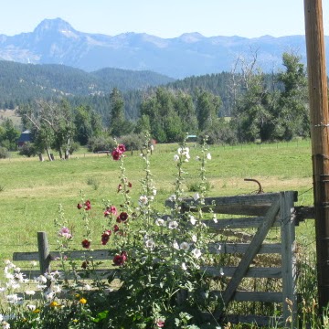 Christy Sims Photo 15