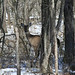 Kimberly Sisco Photo 8