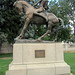 Proctor Robinson Photo 9