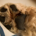 Lisa Casper Photo 10
