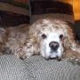 Sandy Gregg Photo 26