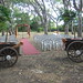 June Murray Photo 9