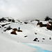 David Toller Photo 7