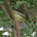 Debra Wing Photo 19