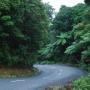 Tim Isaac Photo 34