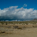 Joshua Forrest Photo 4