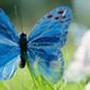Judy Horner Photo 22