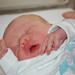 Joseph Elliot Photo 19