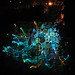 Nancy Witherspoon Photo 15