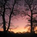 Carol Sharpe Photo 22
