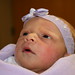 Kristopher Jensen Photo 12