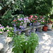 Troy Summers Photo 9