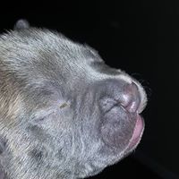 Charles Poole Photo 11