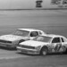 Ted Shepard Photo 16