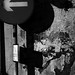 Richard Rolfe Photo 16