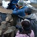 Stephanie Chang Photo 30