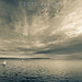 Neil Tack Photo 1