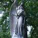 Angel Fisher Photo 39