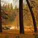 Sean Meadows Photo 38