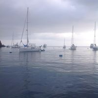 Laurie Nicholas Photo 4
