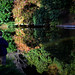 Angela Pond Photo 12