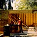 Trenton Carpenter Photo 8