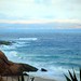 Linda Devers Photo 9