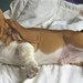 Wilma Male Photo 7