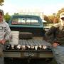 John Kimball Photo 7
