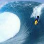 Guy Armstrong Photo 27