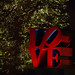 Robert Love Photo 29
