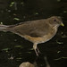 Robin Clay Photo 19