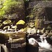 Jeff Carlson Photo 31