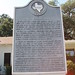 Fannie Johnson Photo 16