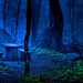 Misty Rains Photo 15